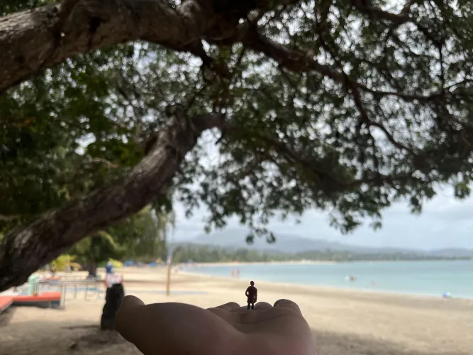 Took you to Puerto Rico with me