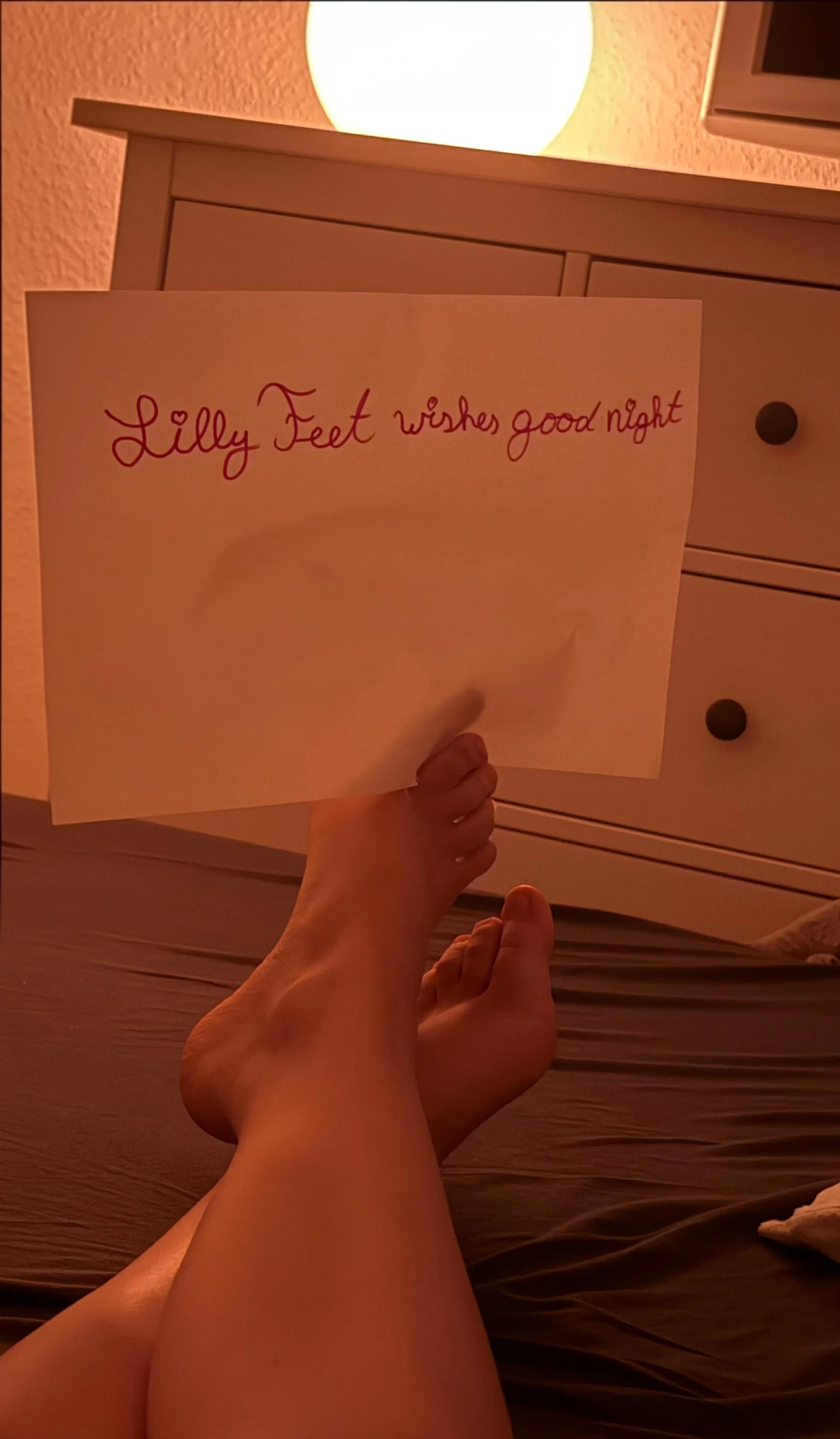 Time for my beauties to rest