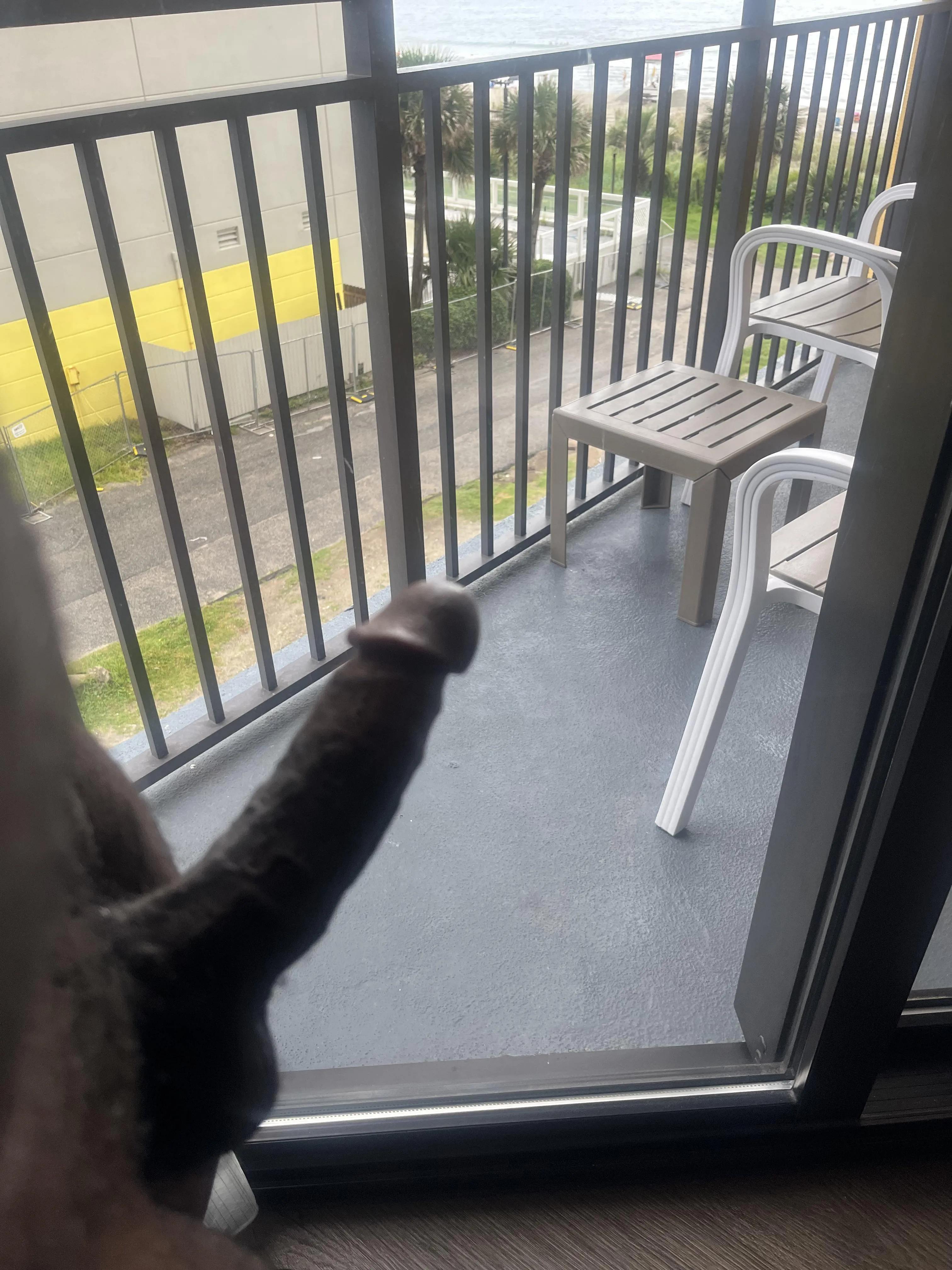 34 male Myrtle beach