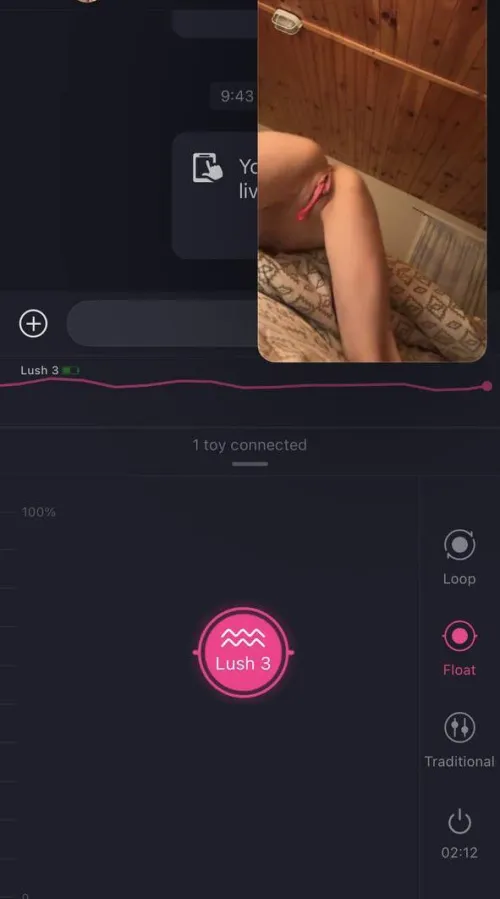 Dear Diary, what’s it called when you use a toy on your toy?