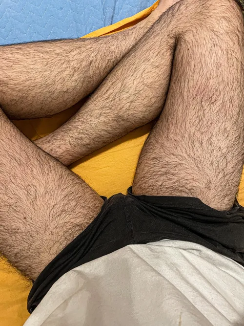 28 very hairy legs