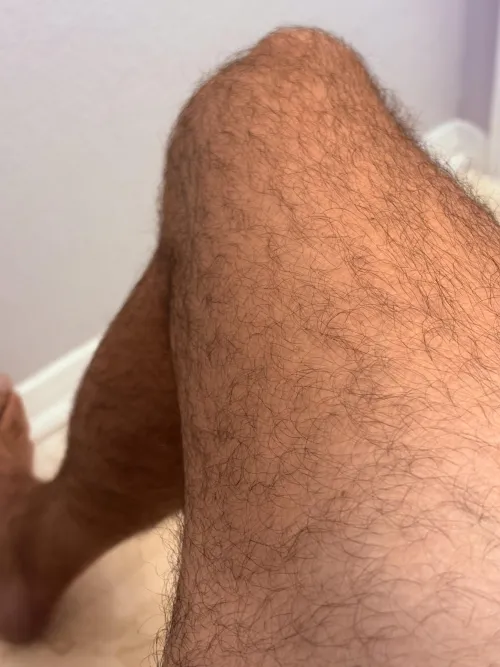 (33) tan and hairy