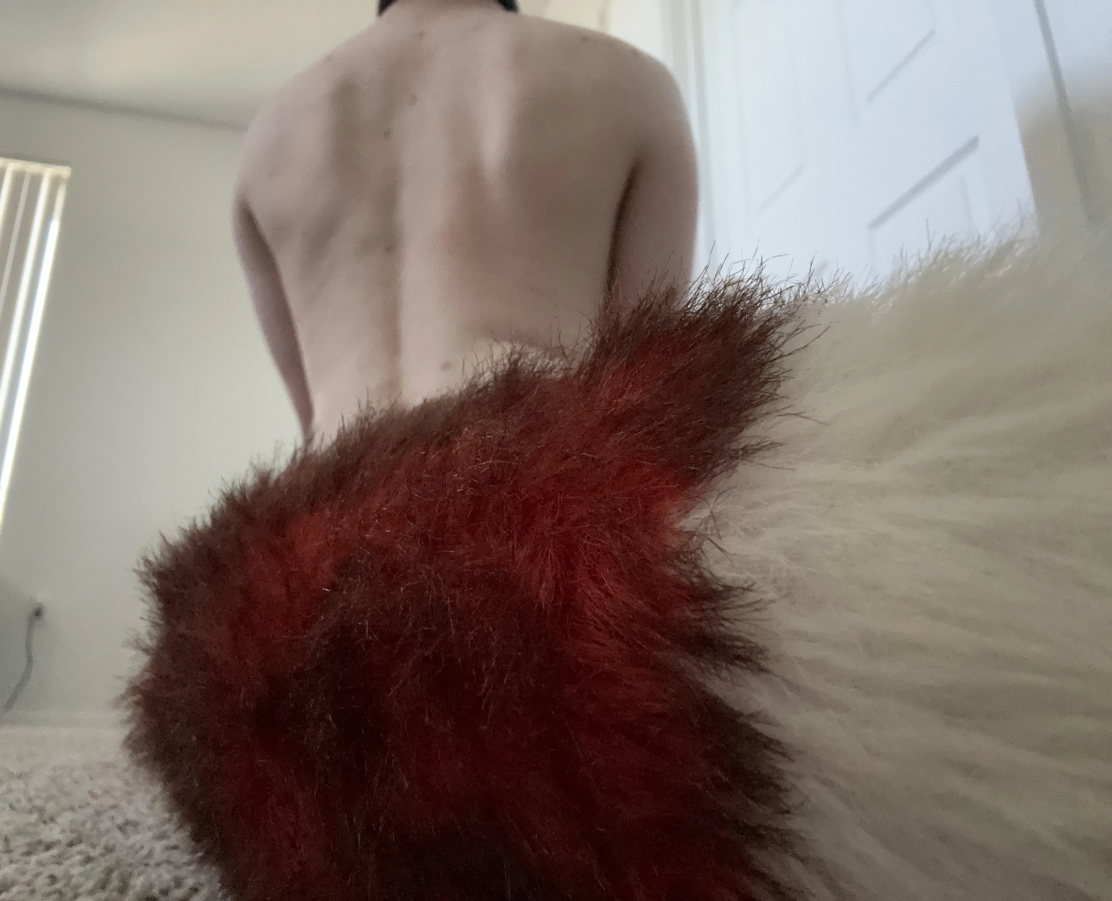 Foxtail in your face