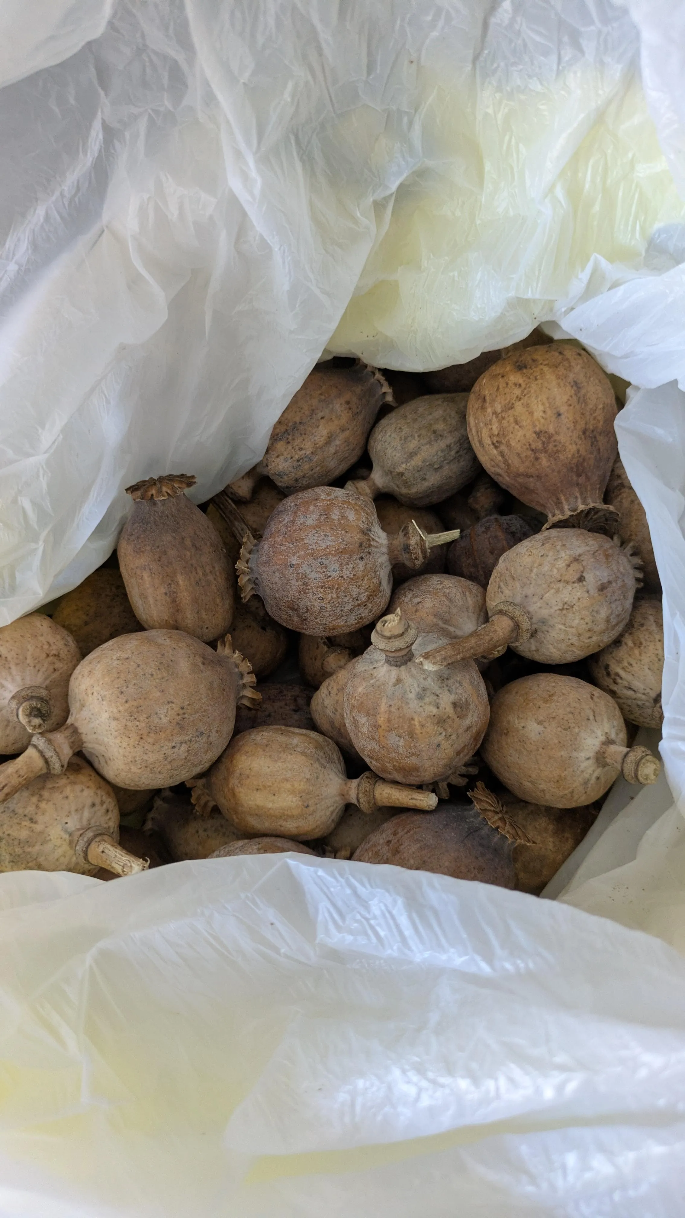 After a 5 month rest it's time!