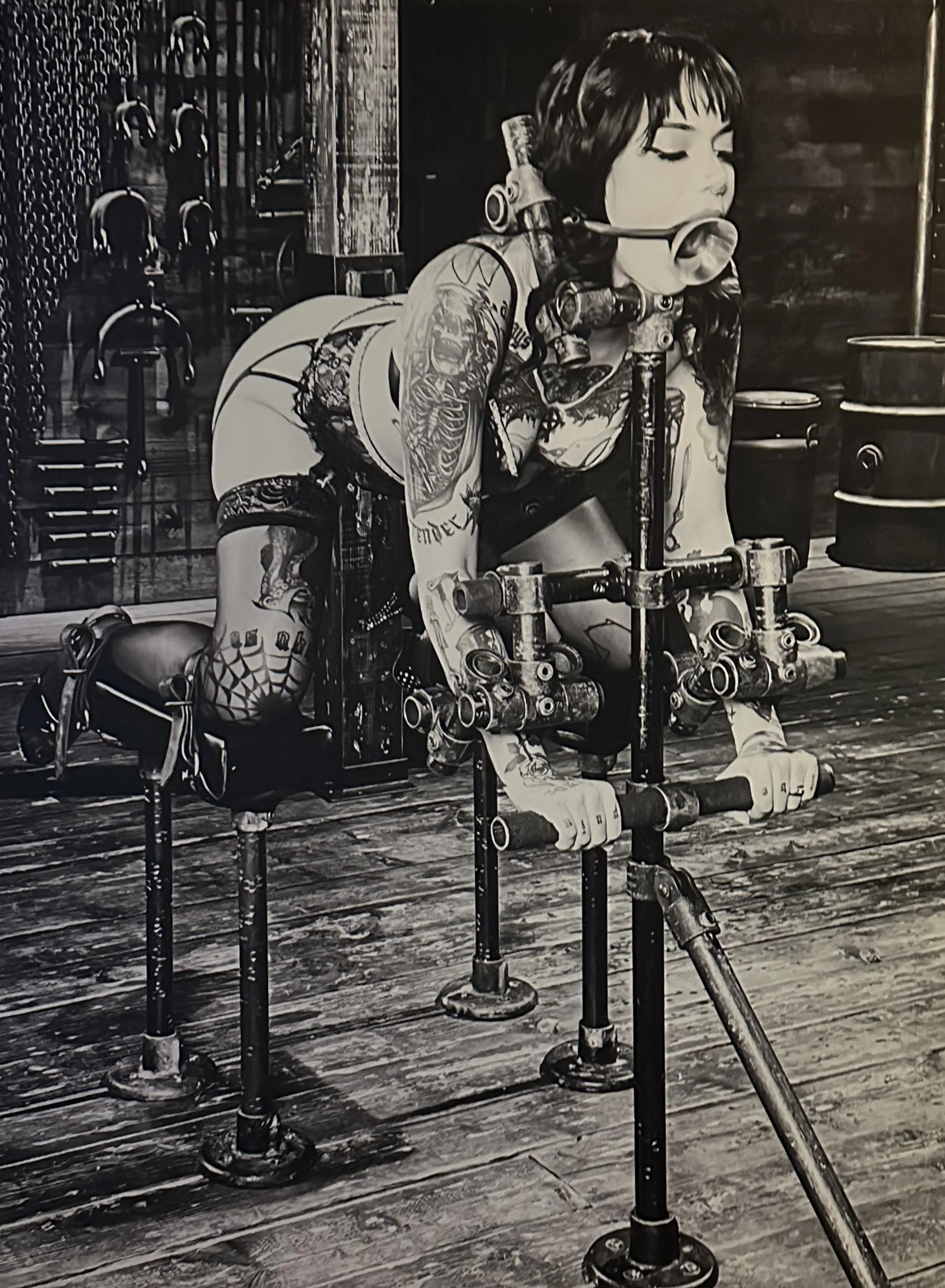 Device Bondage (Canvas Print)