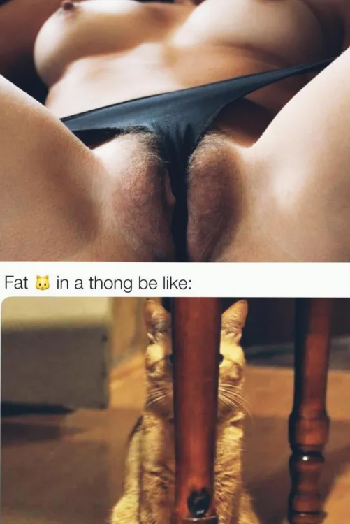 How a thong should fit 🤷