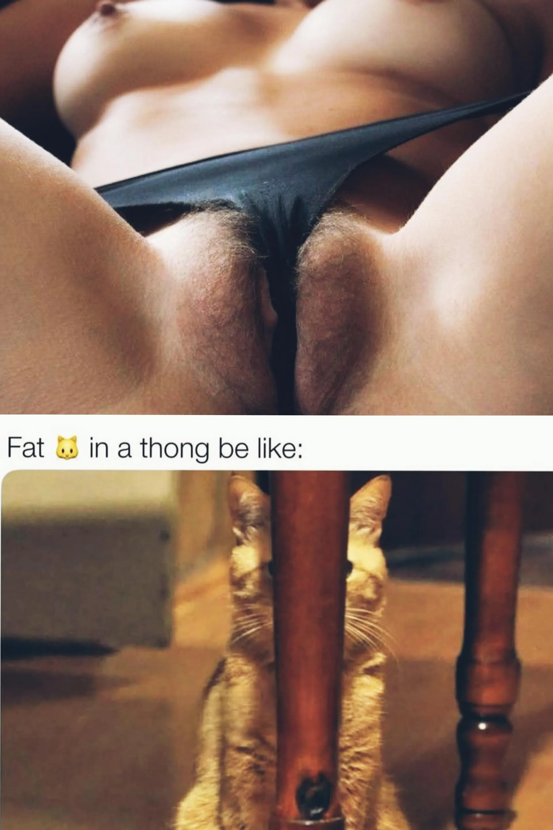 How a thong should fit 🤷