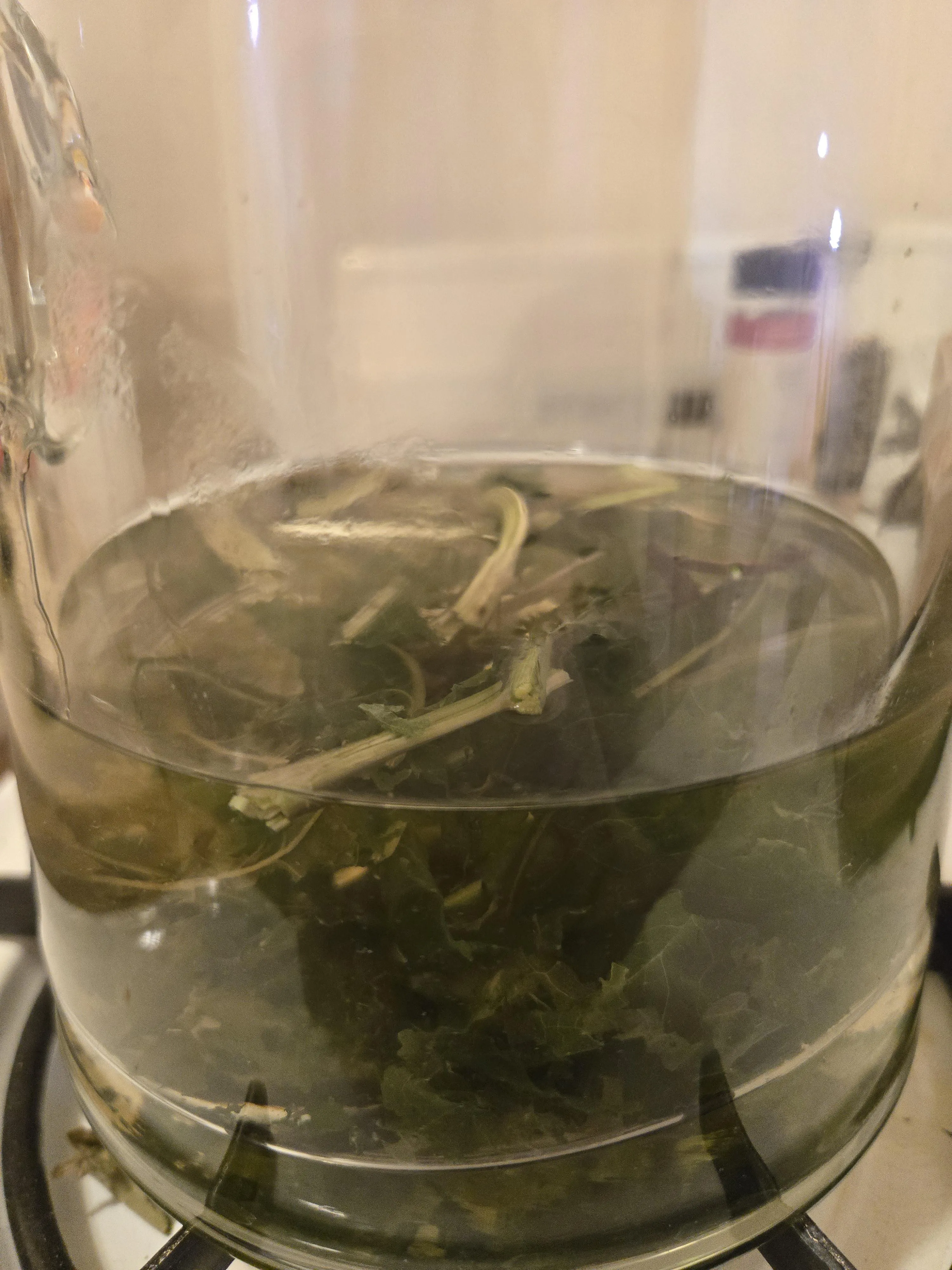 One of my plants didn't make it, but it'll make a good few cups of tea!