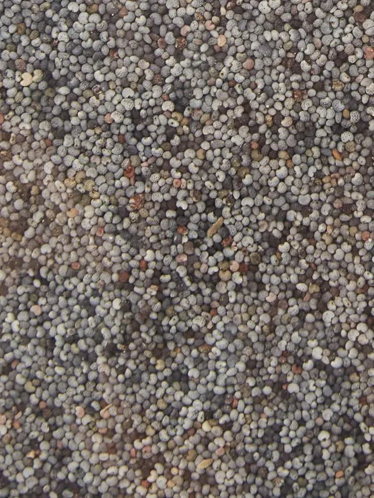 What country do the most powerful unwashed seeds come from? Do you think the ones in this image are unwashed?