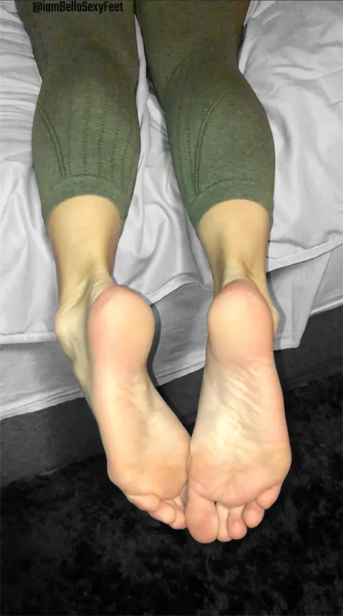 What do they deserve after gym?