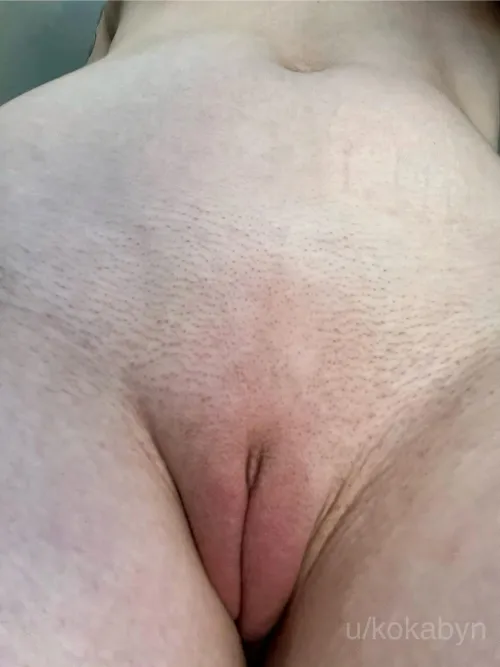 What you see before I sit on your face