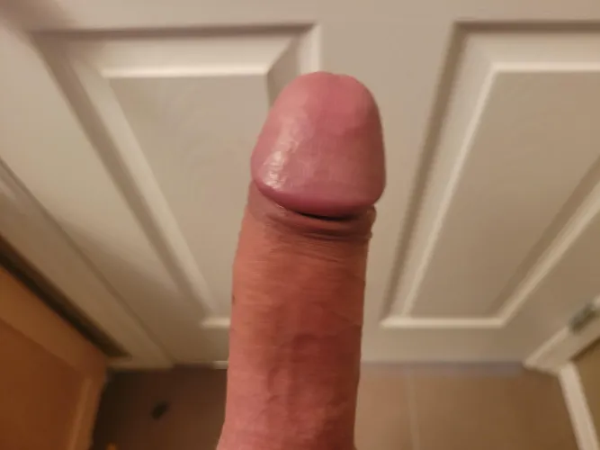 (54) Gone unused way to long.