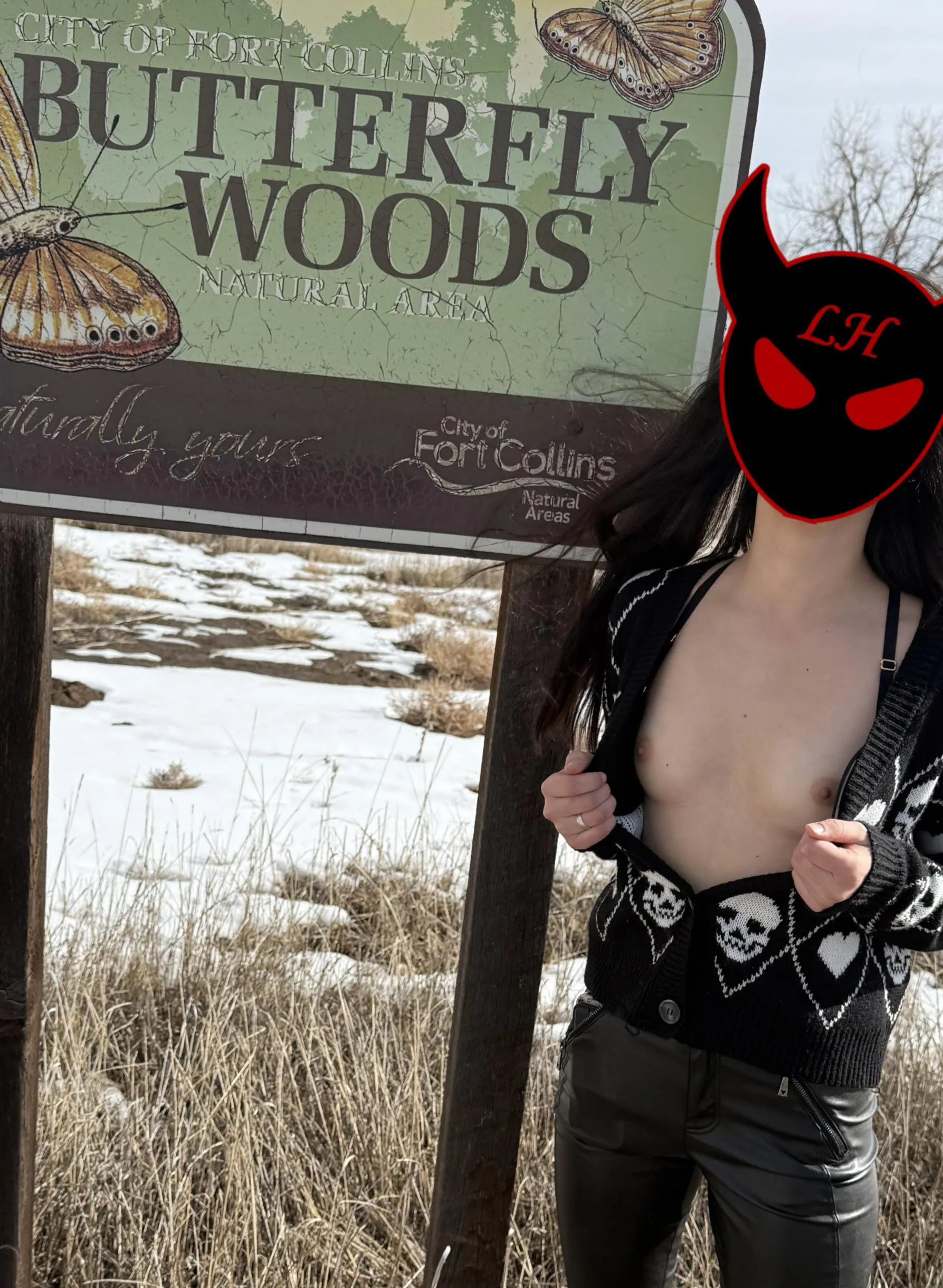 Natural Tits in a Natural Area as intended