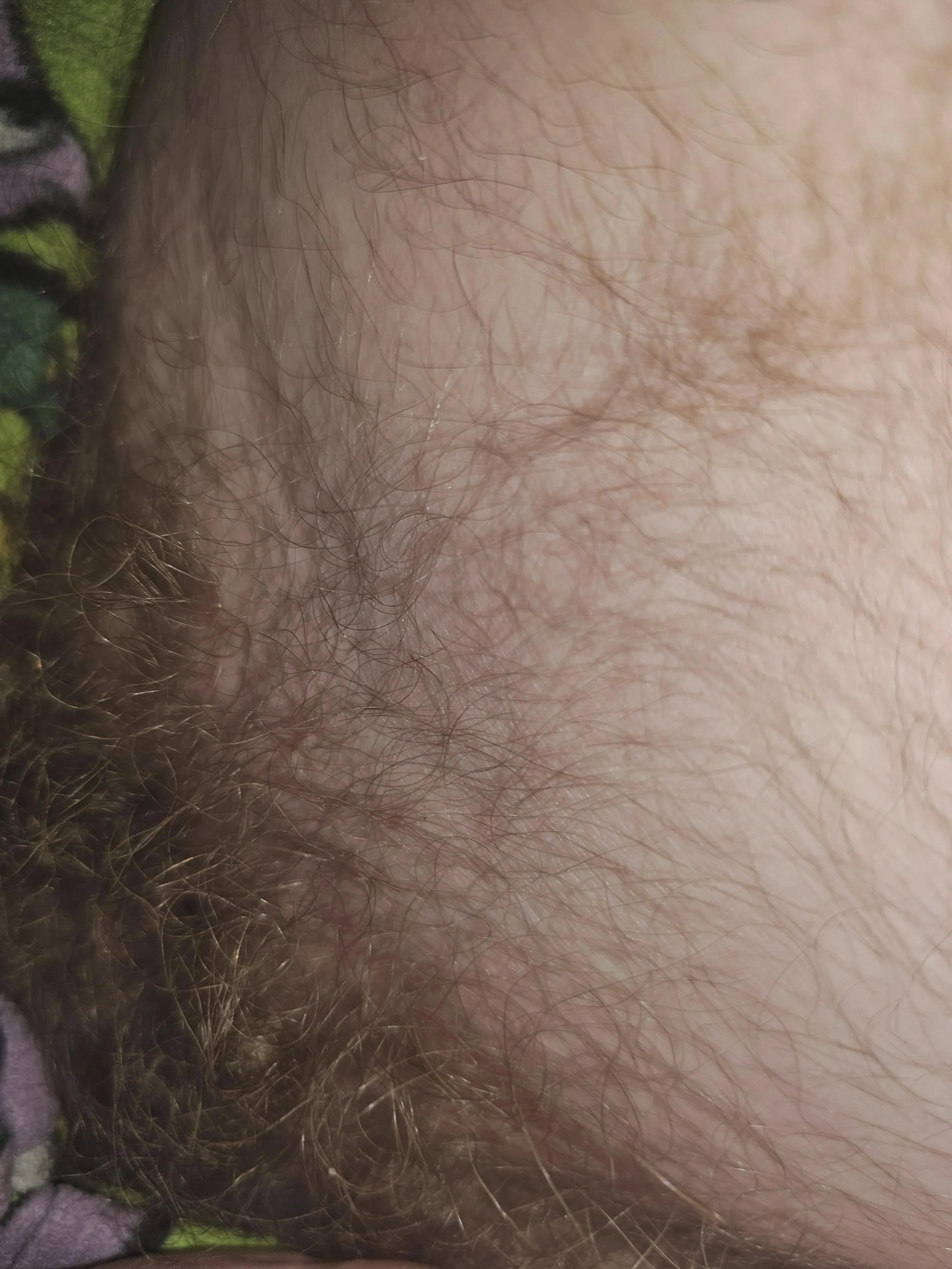 Smell my pubes while you swallow me?