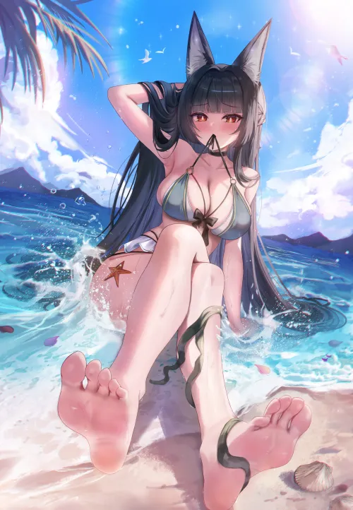 Beach Miyabi [Zenless Zone Zero]