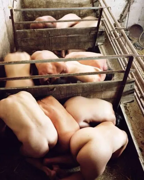 Farm raised fresh meat