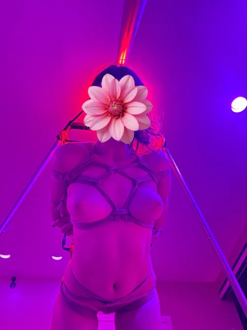 [OC] Suspendable Box Tie