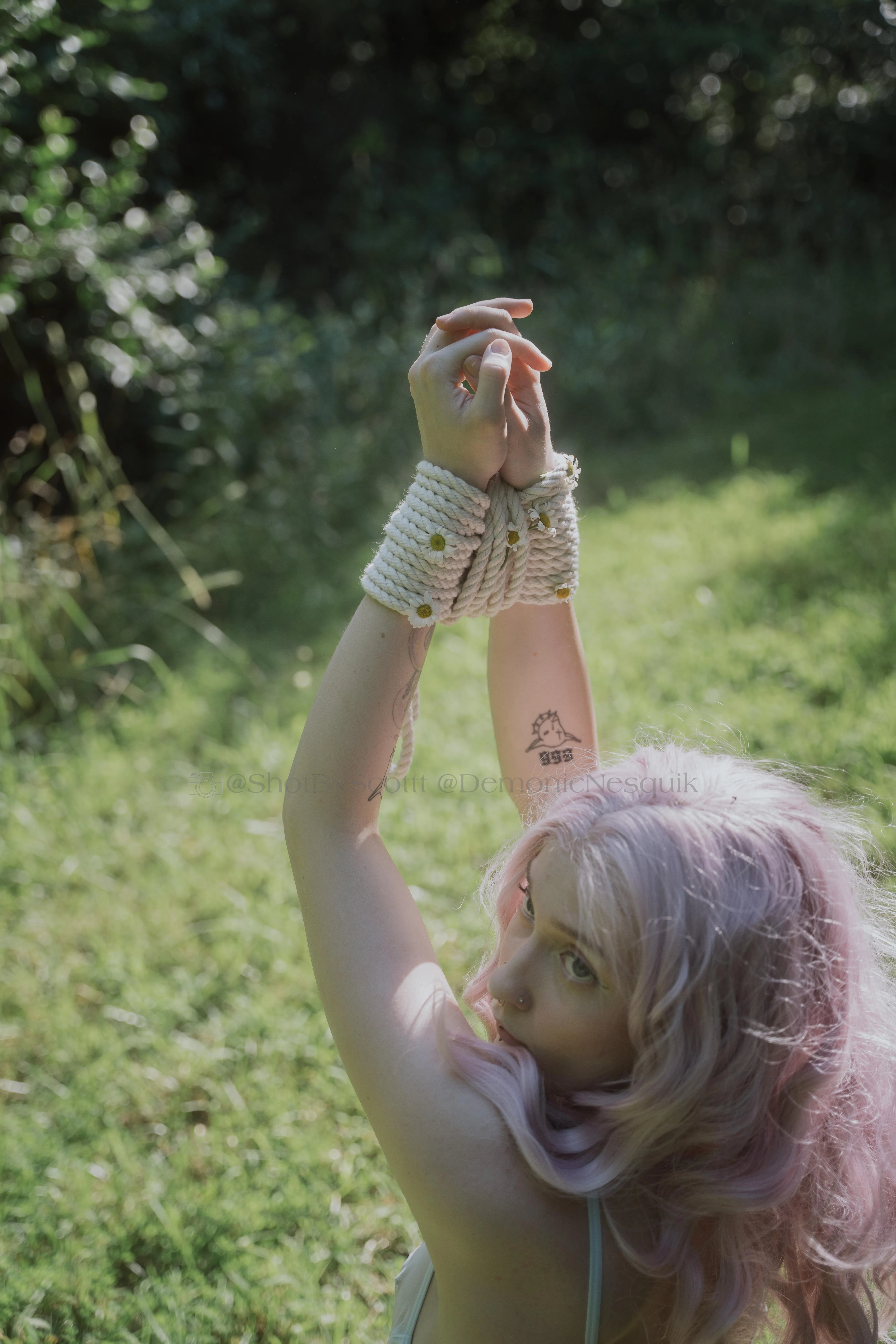 Tied up and defenseless