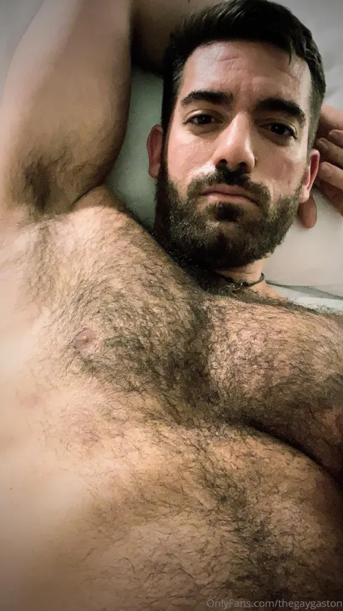 Like my beard and fur ?