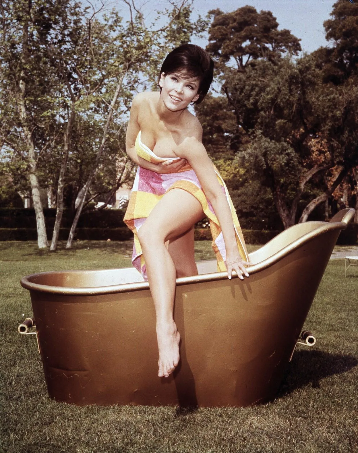Yvonne Craig (1960і)
