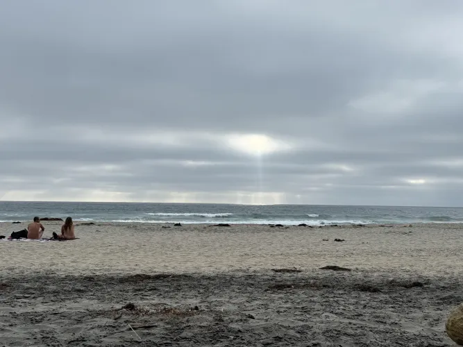 Corpuscular and Grey