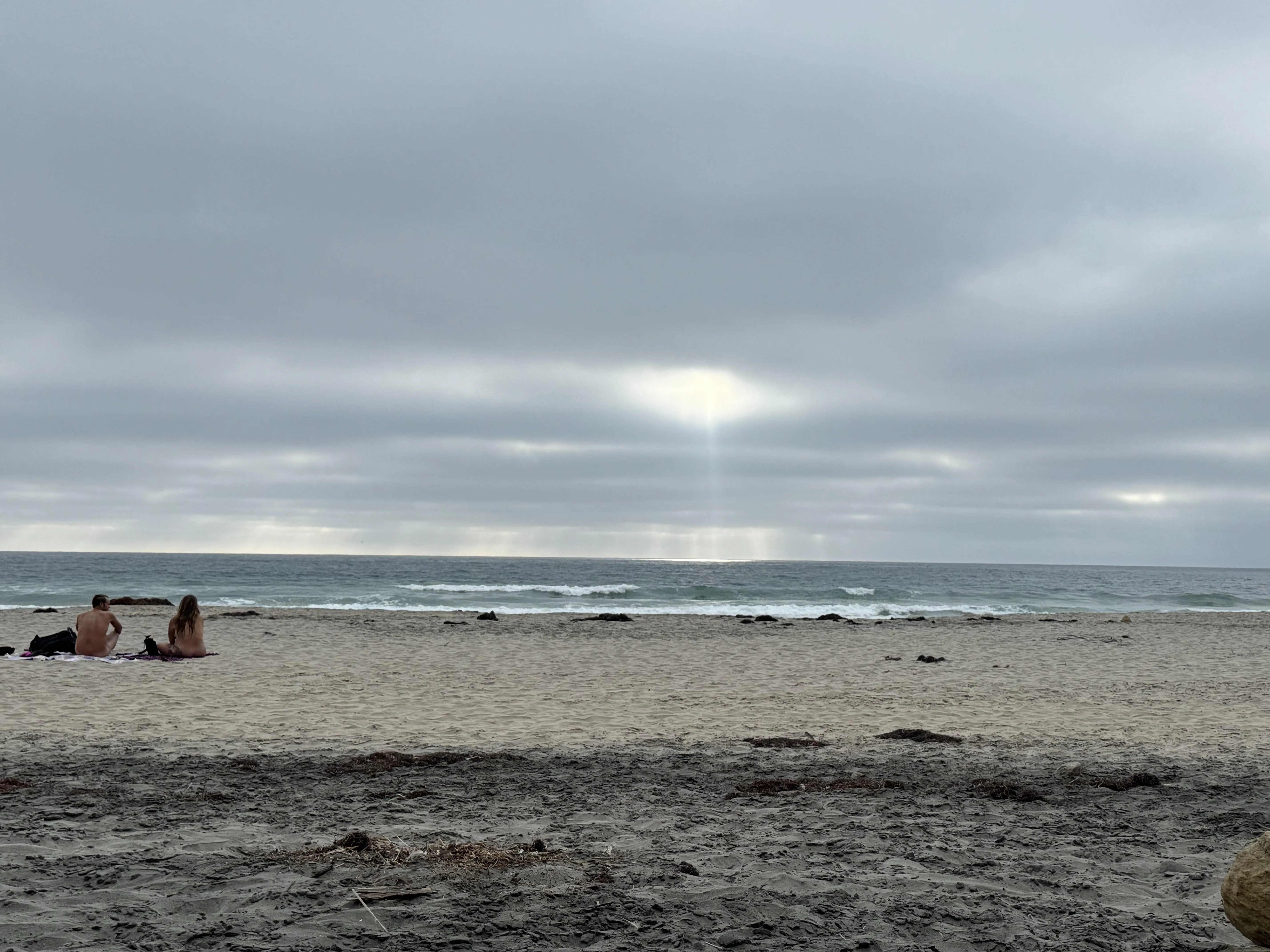 Corpuscular and Grey