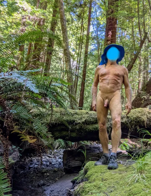 I beat the heat by hiking nude in the redwoods. Where do go?