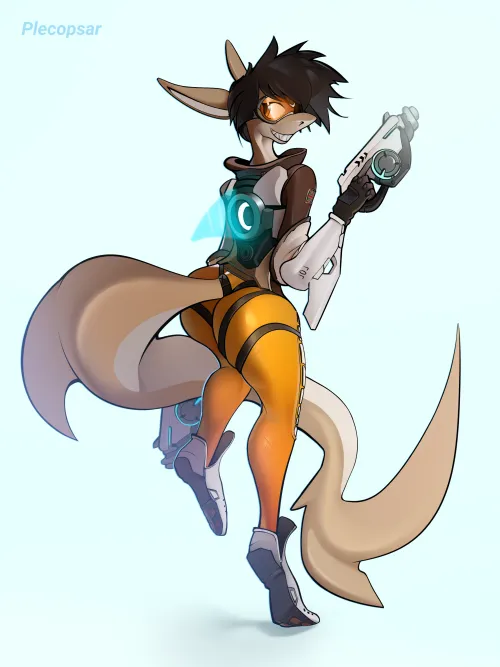 Tracer shark (plecopsar) [F]