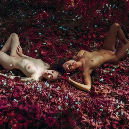 Forest nymphs
