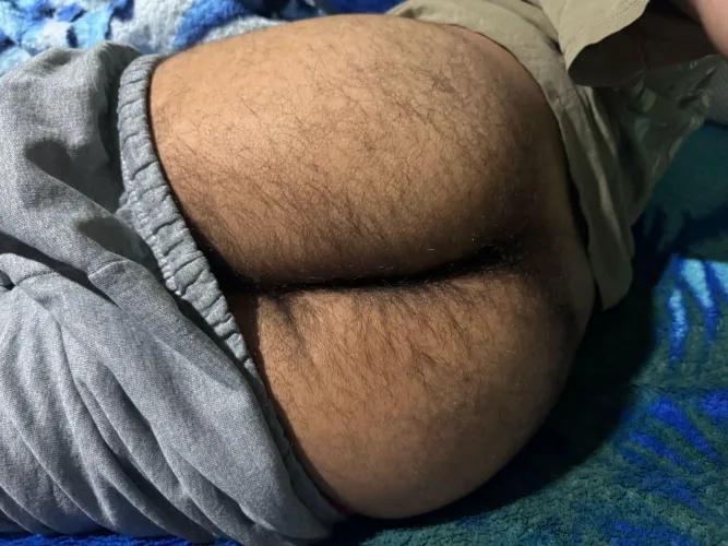 What do you all think?