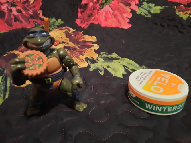 Donatello & MichelanVELO