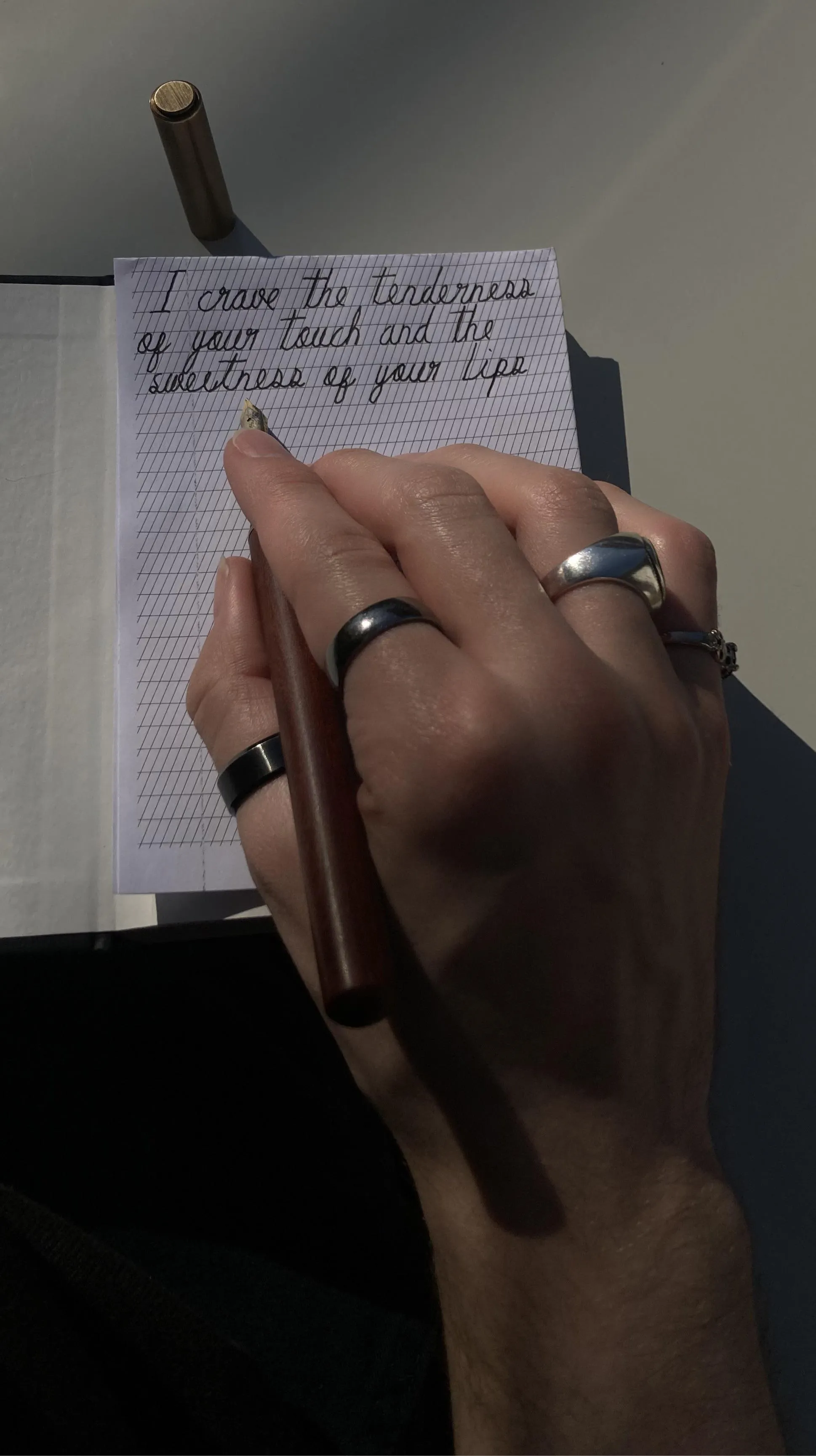 I’m having so much fun thinking and writing some gentle, yet filthy sentences, and I thought you guys would appreciate it as well