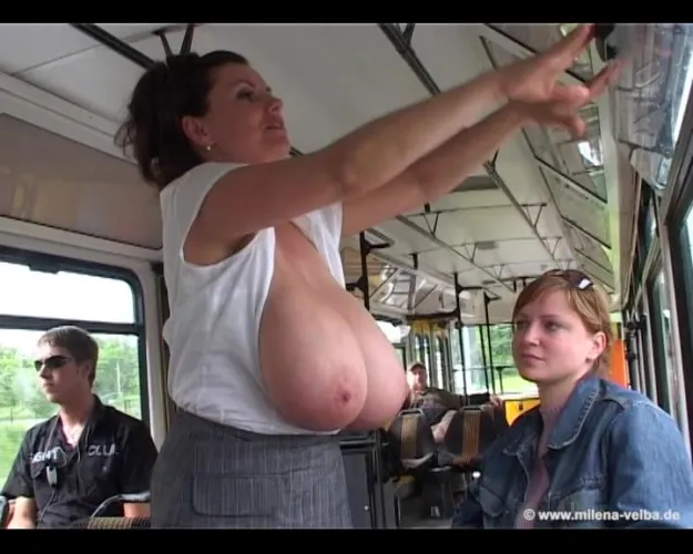 Scenes from AltBoobWorld : The route maps on AltBoobWorld's trams are detailed and informative