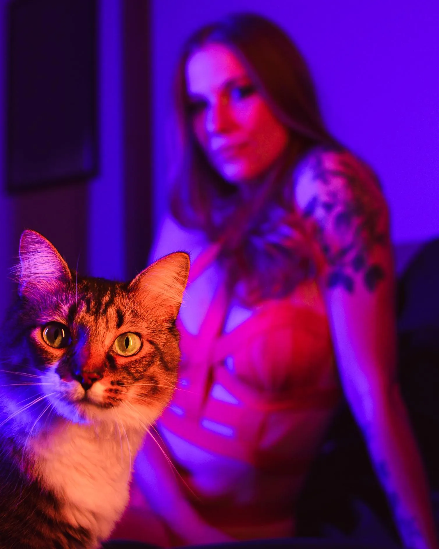 The perfect photo bomb 🐱