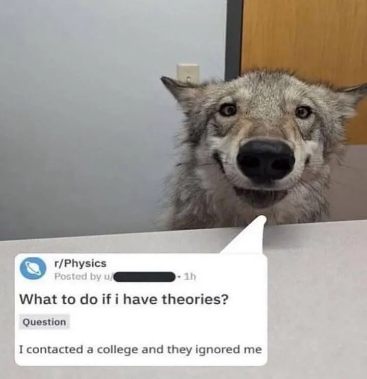 Mistor gorls gimme black hoe