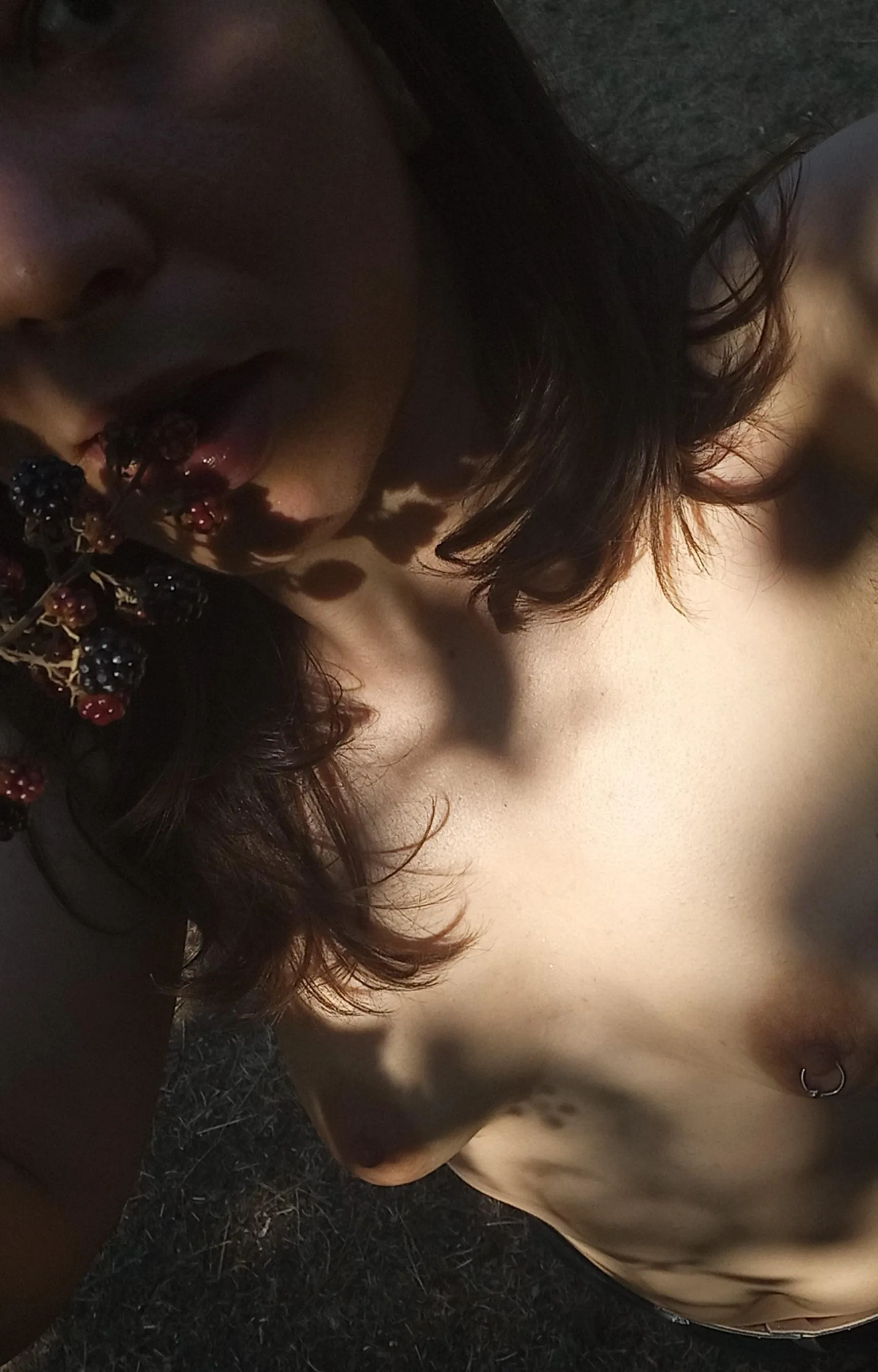 Picking blackberries