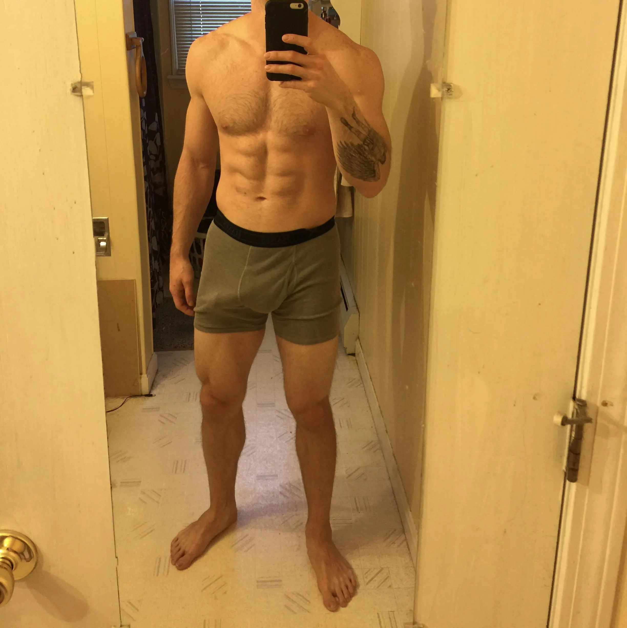 38M experienced bull looking