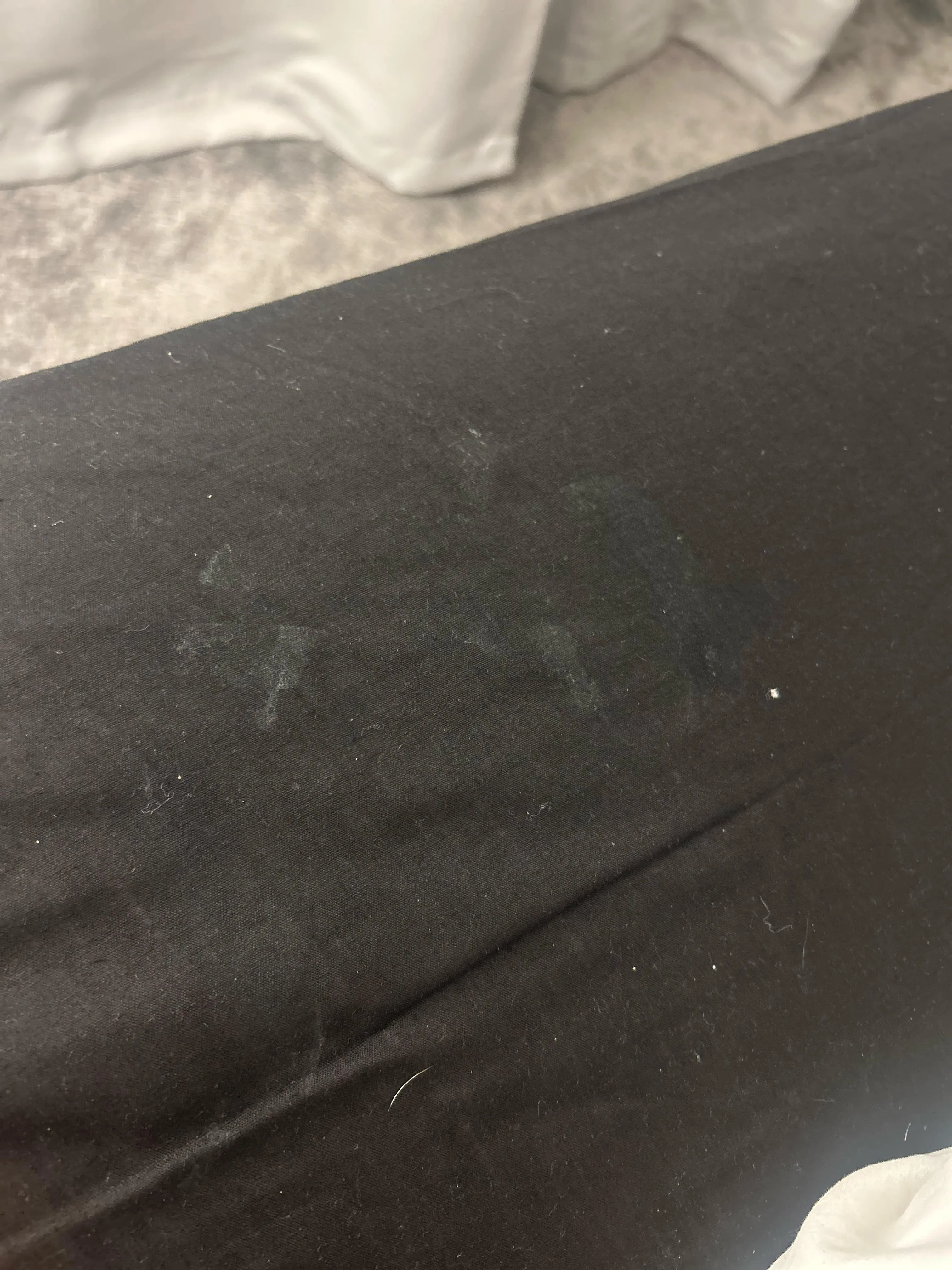 Friend slept over last night in my bed just found these