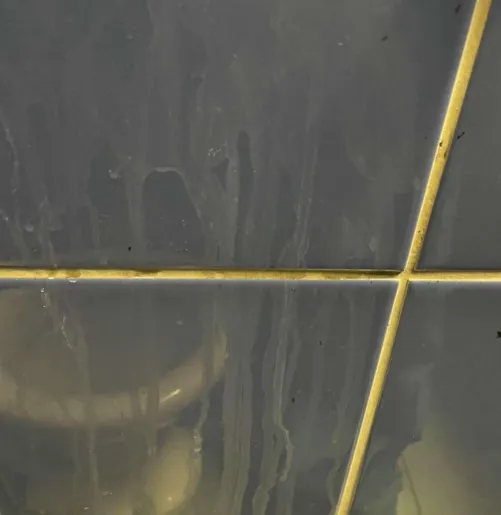 Hey im looking for friends who likes public and tags