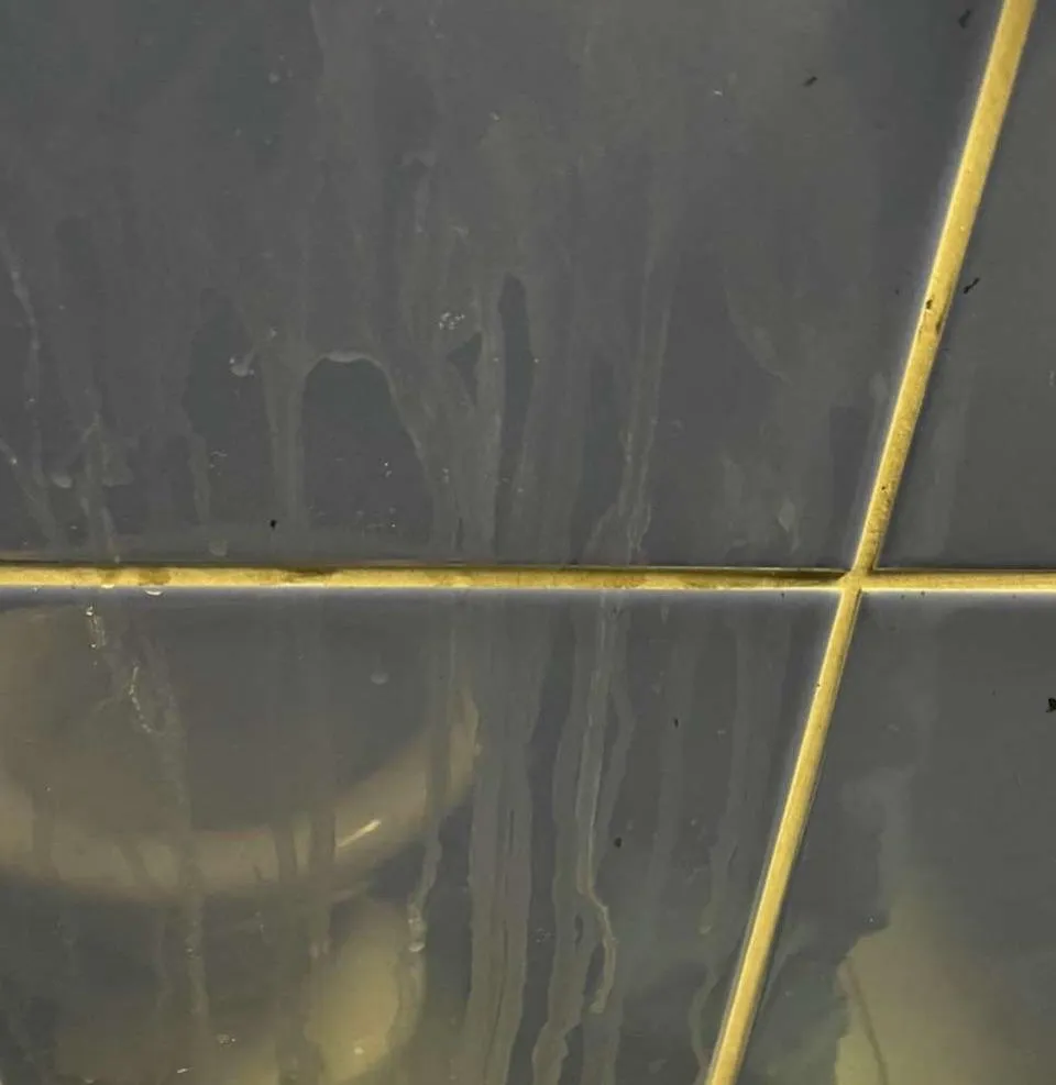 Hey im looking for friends who likes public and tags