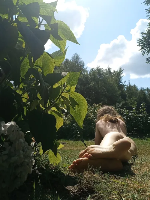 Sunny afternoon in the garden