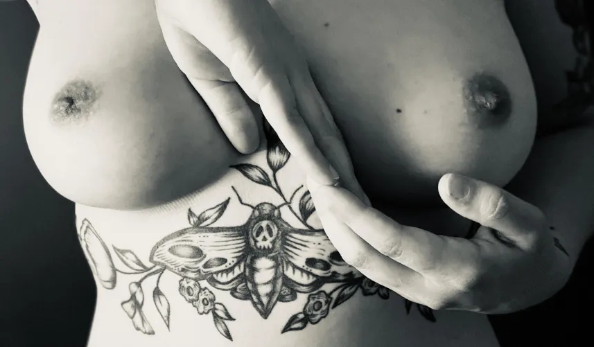 Every Line Every Curve