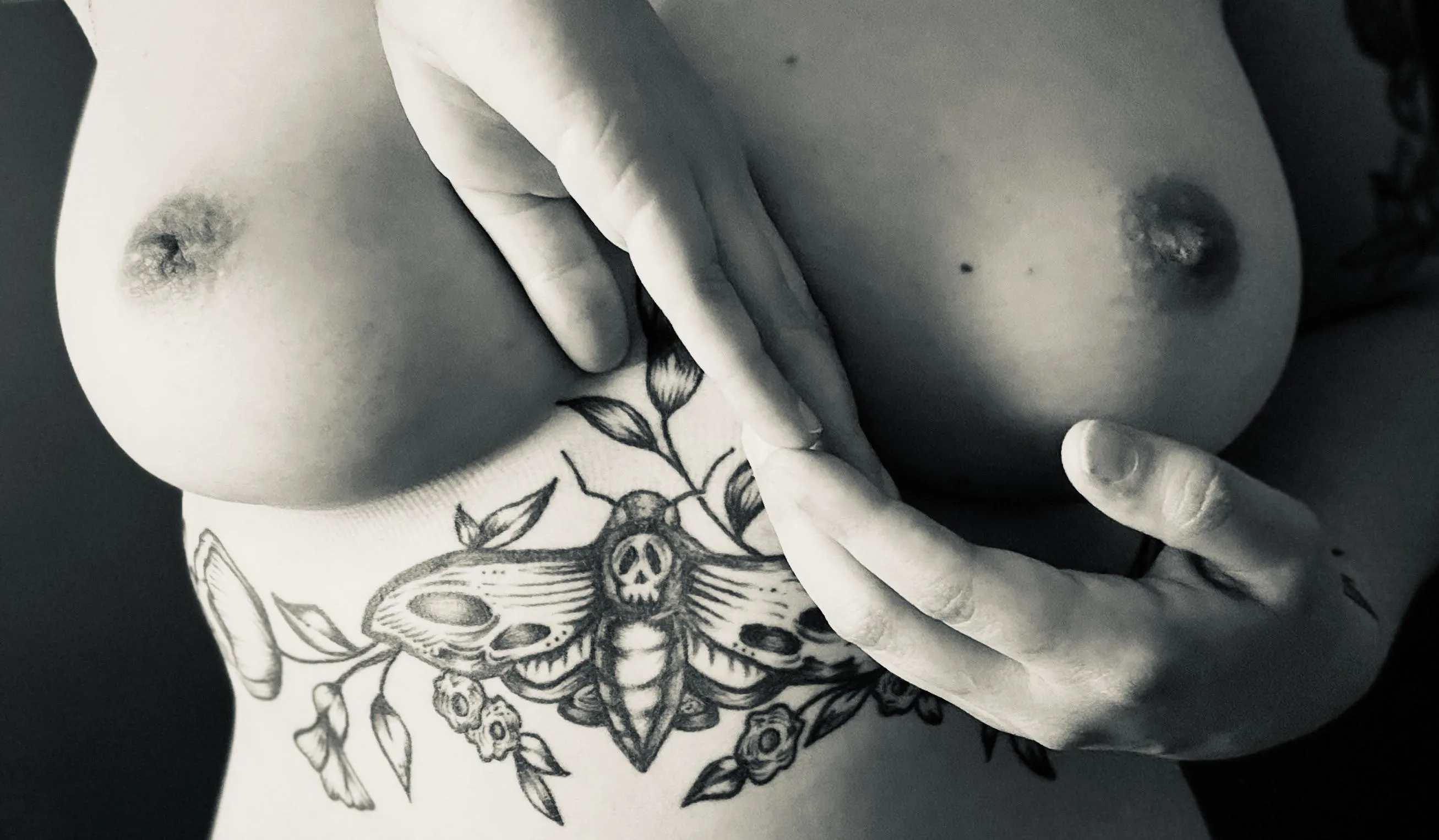 Every Line Every Curve