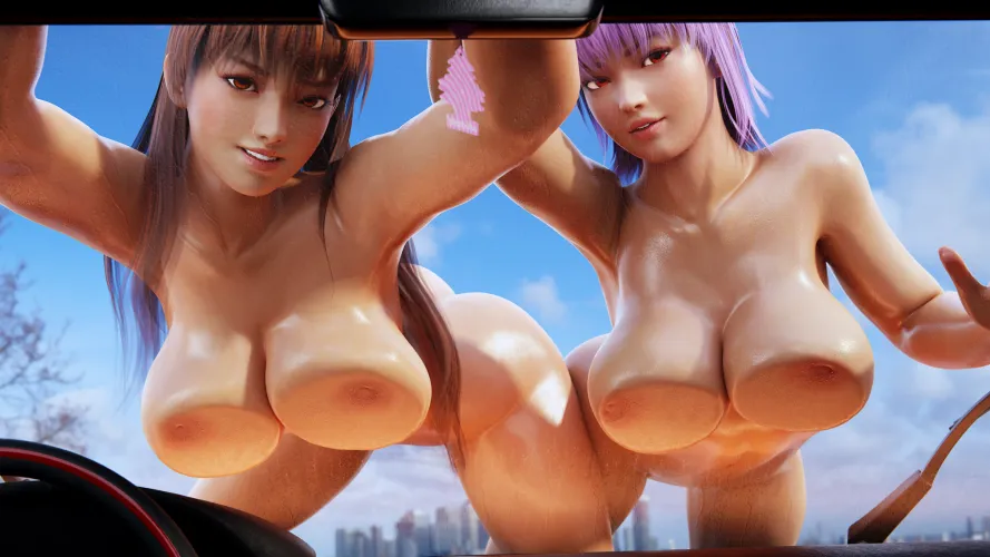 Kasumi and Ayane's car wash (EnslaverOfHumanity)