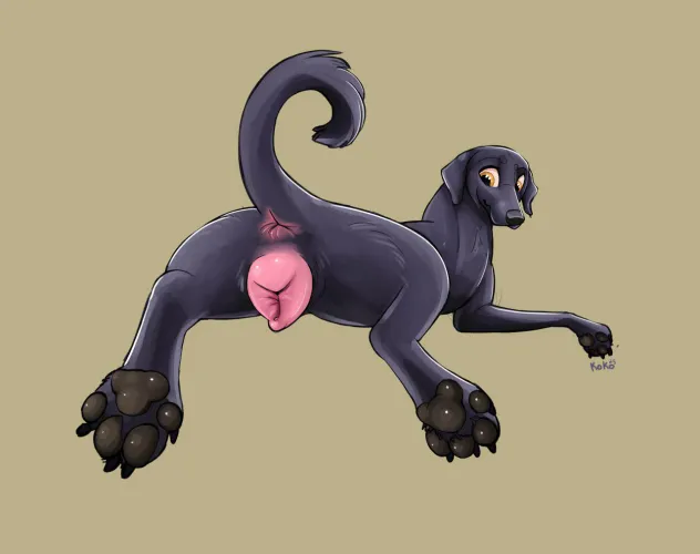 Lab cookie - Queenkoko