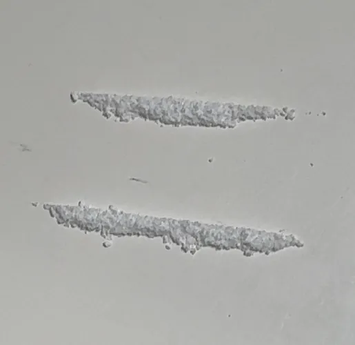 Monday night sesh fresh bag