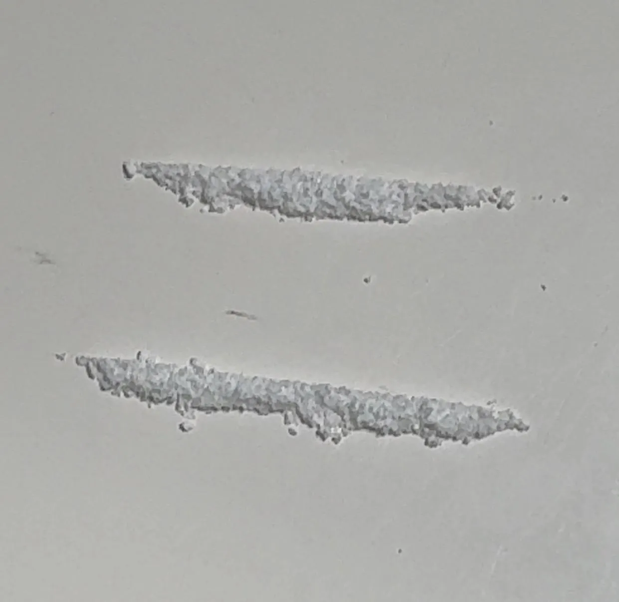 Monday night sesh fresh bag