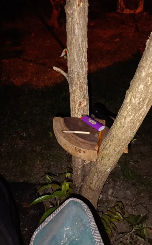 Morre uma tábua de carne e nasce uma mini mesinha pro meu cantinho