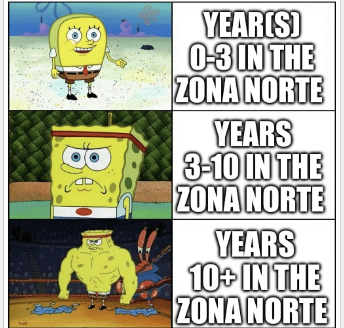 The evolution of a monger in the ZN.