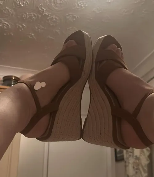 wifes wedges